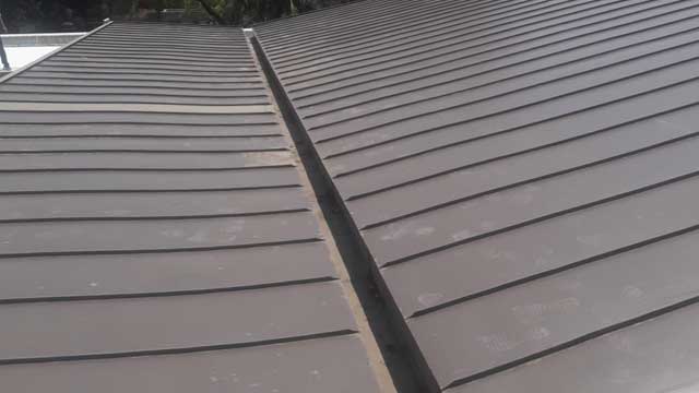 Speciality Roof